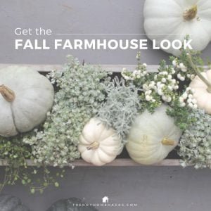 Fall Farmhouse Interior Decor