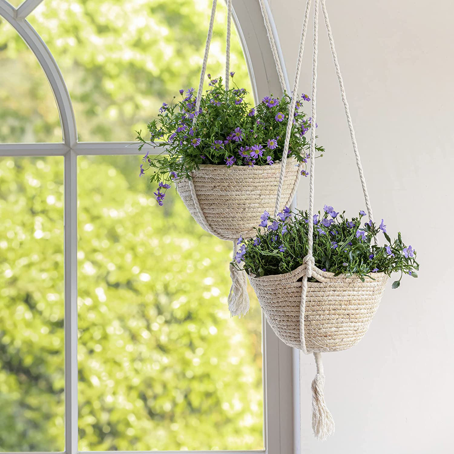 hanging_planter_woven_basket