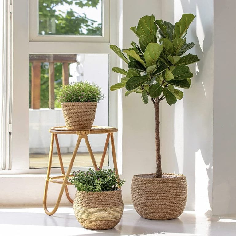 woven_basket_planter