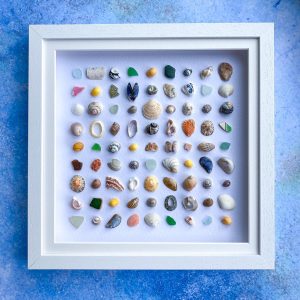 white colored framed wall art displaying various colorful seashells on a blue background