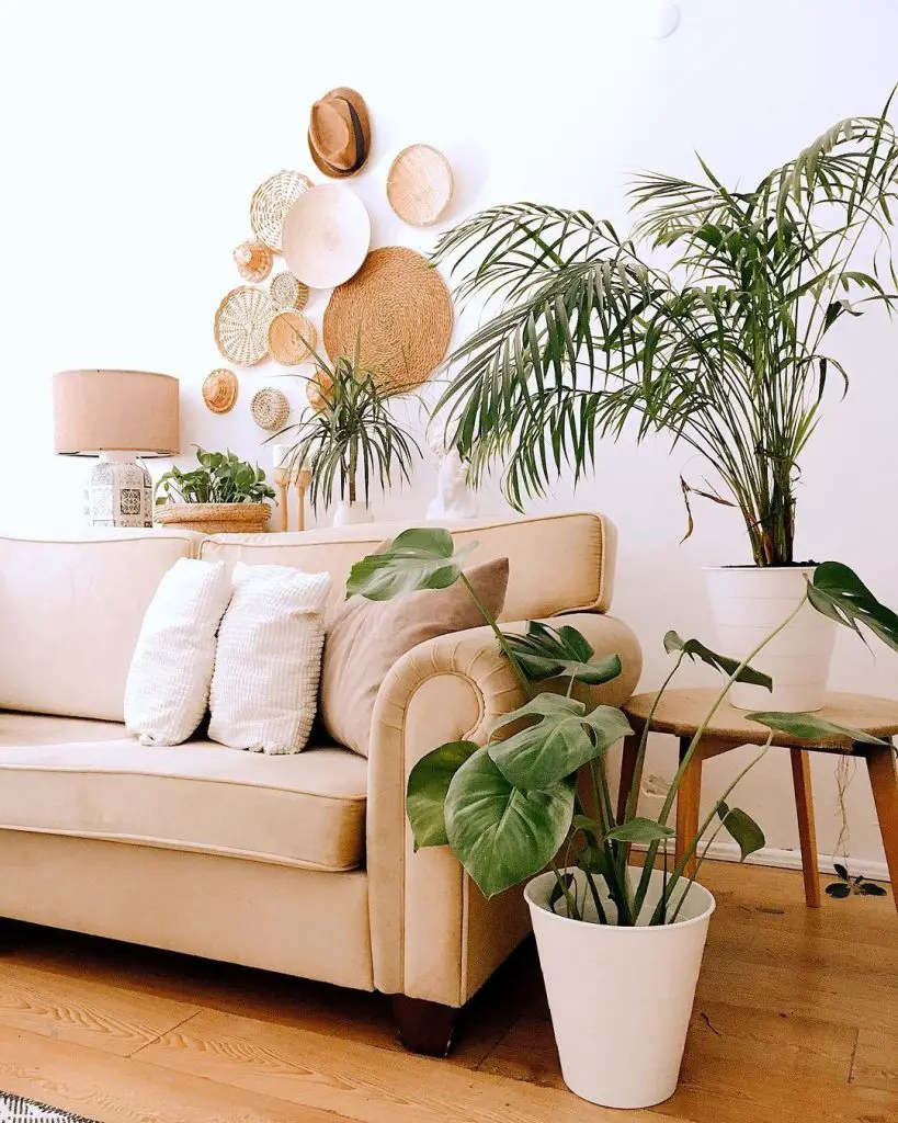 A cozy living room with a beige sofa, white cushions, potted green plants, and various woven baskets hanging on a white wall. Unlock the beauty of Bohemian accents with a wooden stool and a small table adorned with a lamp and plant.