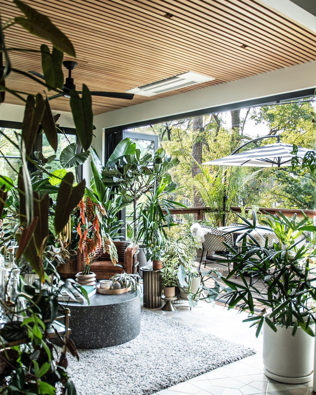 Zen Vibes: The Ultimate Guide to Meditation Sunroom Decor