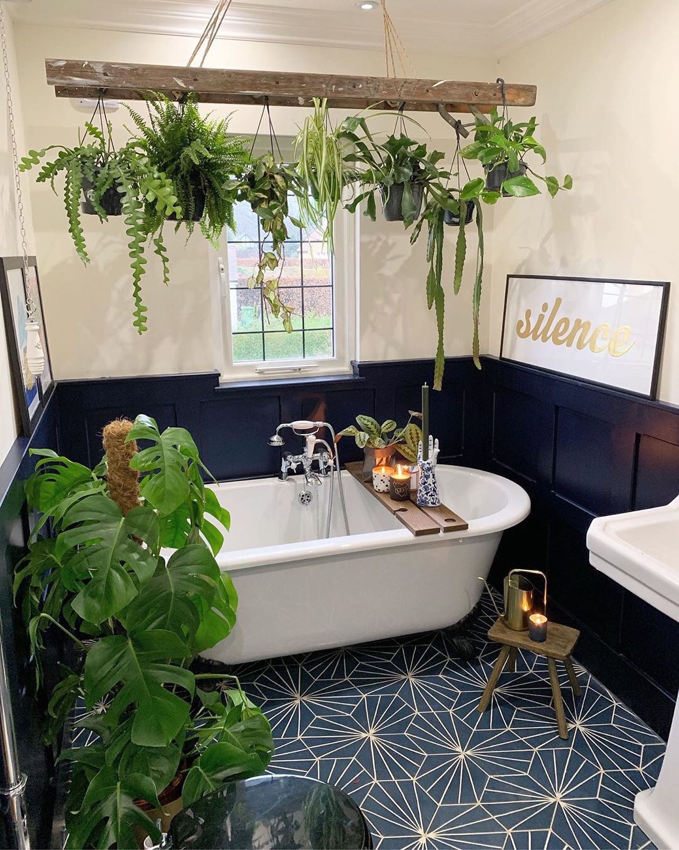 a ceiling mounted repurposed wooden ladder to hang green plants from free up valuable floor space in a tight bathroom like this one