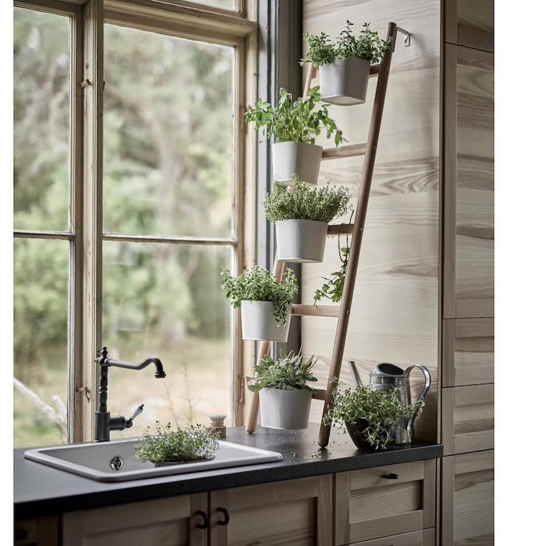 a small ladder leaning against a kitchen wall next to the kitchen sink over the kitchen counter is a very efficient way to grow accessible fresh herbs in the kitchen