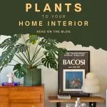 A modern living room with large leafy indoor plants, wooden furniture, framed art, and decorative items—discover how to add indoor plants to your home interior in our latest blog post.