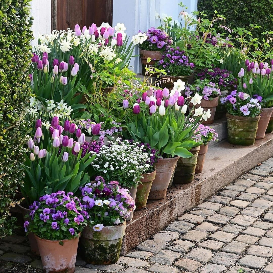 a series of potted flowers can be a great way to update a garden with Spring colored flowers ready for the new season