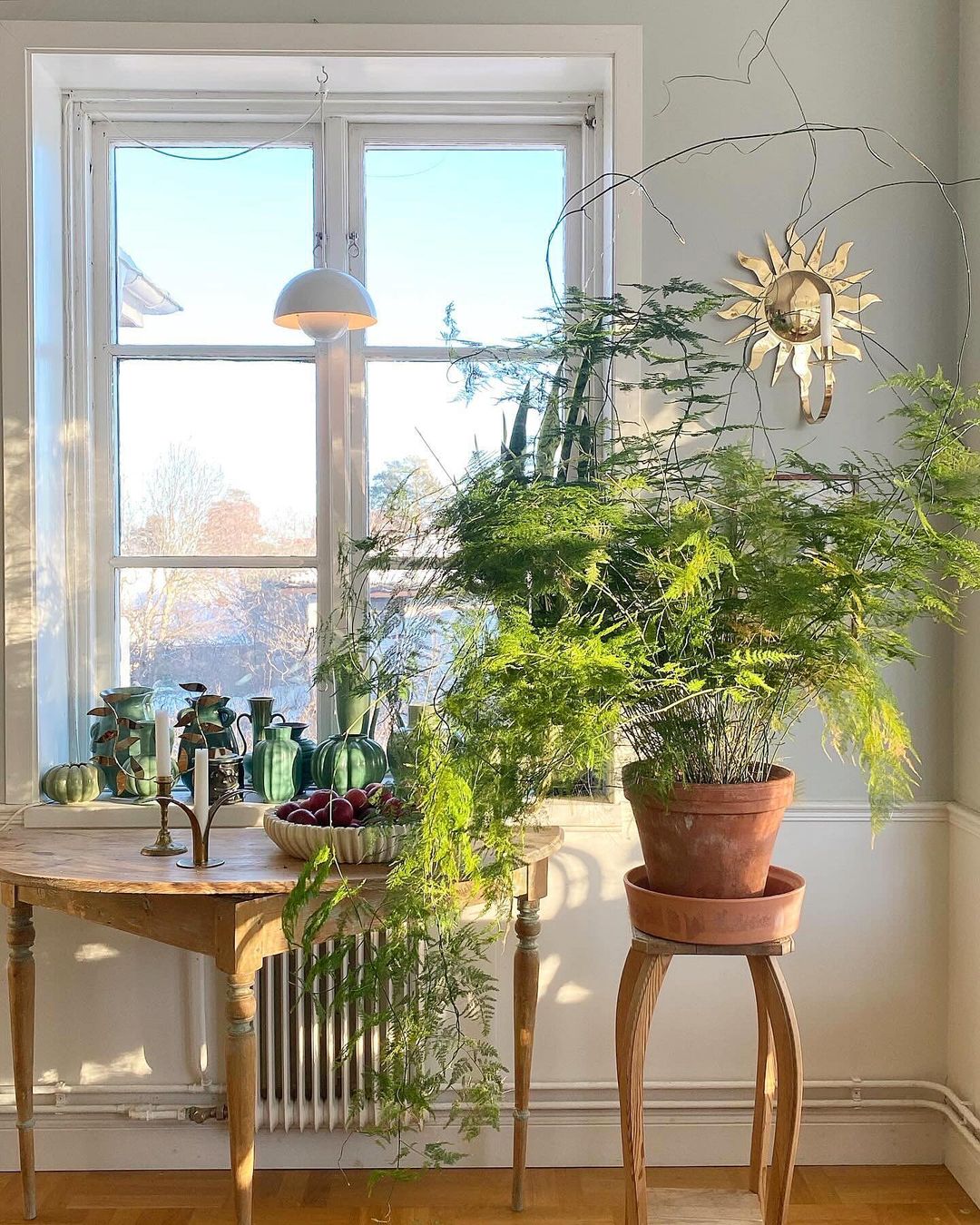 a potted plant on a stool table is often times all you need to bring house plants indoor