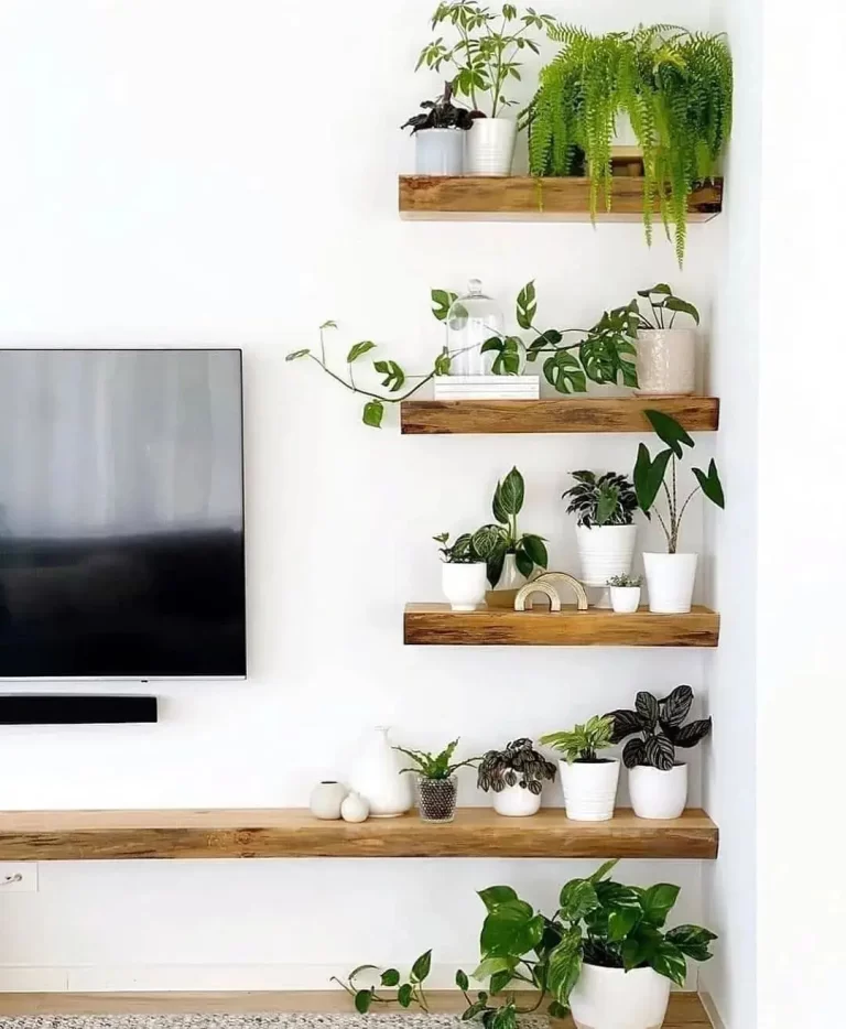 indoor plants styled on floating shelves will instantly add a touch of greenery to a living room.