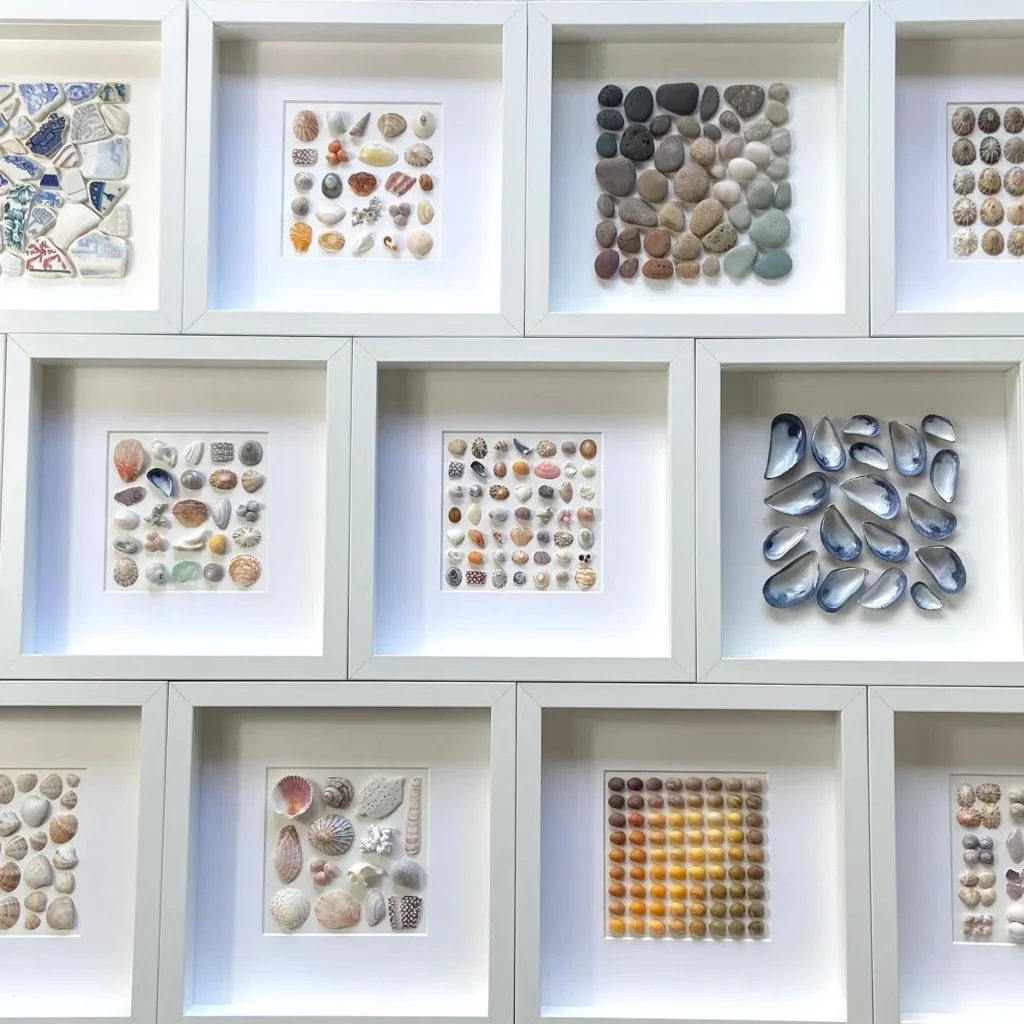 A grid of white-framed shadow boxes displays various neatly arranged collections of shells, stones, and ceramic pieces, each organized by type, shape, or color.