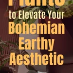 A cozy bohemian corner featuring lush indoor plants in terracotta pots, adding earthy tones and organic texture to the decor. Overlay text reads: "Top 5 Plants to Elevate Your Bohemian Earthy Aesthetic".