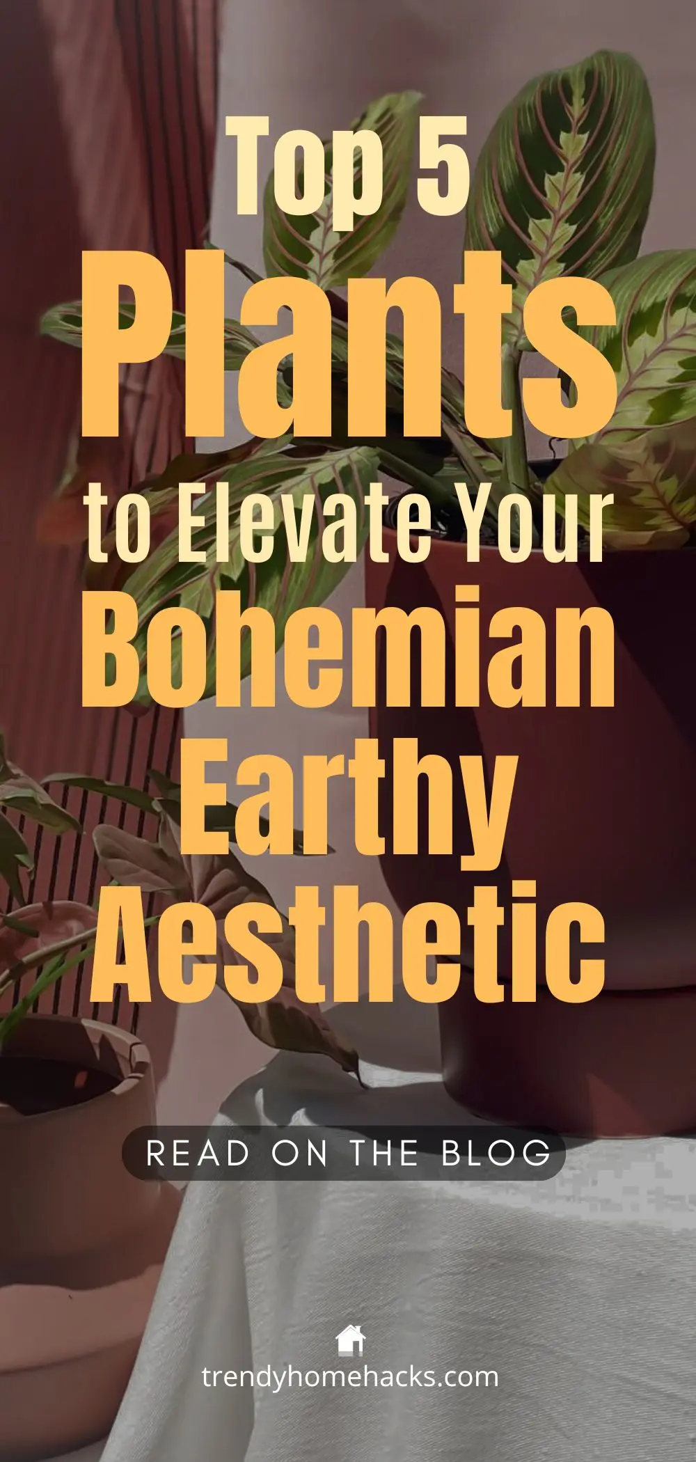 A cozy bohemian corner featuring lush indoor plants in terracotta pots, adding earthy tones and organic texture to the decor. Overlay text reads: "Top 5 Plants to Elevate Your Bohemian Earthy Aesthetic".
