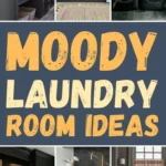 Examples of moody laundry rooms with dark cabinets, dramatic lighting, patterned tile, and modern finishes