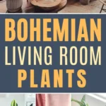 Bohemian living room plants featuring rubber plant, calathea, and lush indoor greenery styled in a cozy boho space.