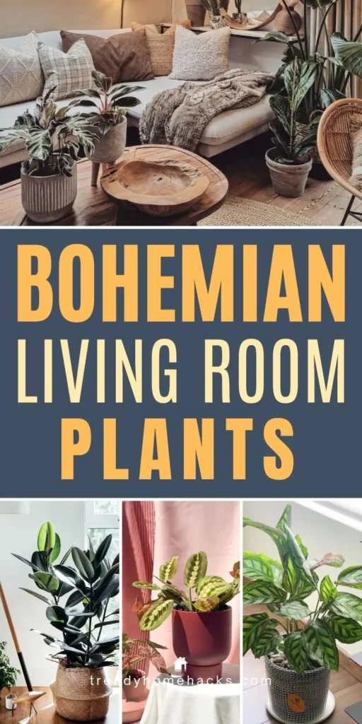 Bohemian living room plants featuring rubber plant, calathea, and lush indoor greenery styled in a cozy boho space.